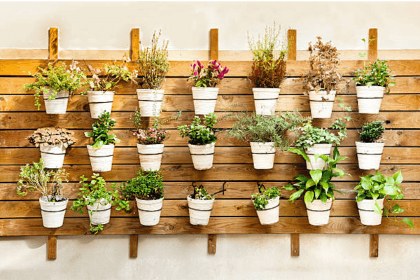 Budget Wall Decoration Ideas Under ₹1000 You’ll Love